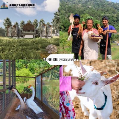 Talula Hill Farm Resort - Healing Getaway